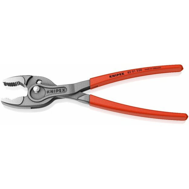 Santechinės replės 250mm (dvigubo griebimo) KNIPEX (su fiksavimu) 1 Santechinės replės 250mm (dvigubo griebimo) KNIPEX (su fiksavimu) 1