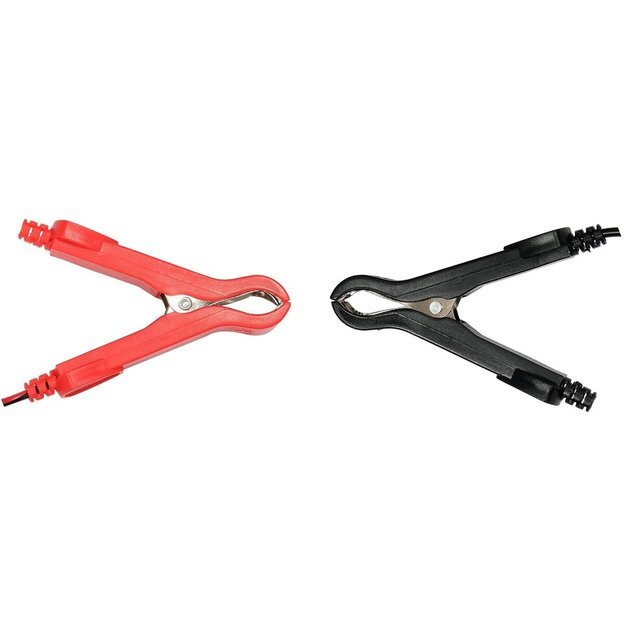 Įkroviklis akumuliatoriui elektroninis | 6/12V 2/4A 200Ah 4