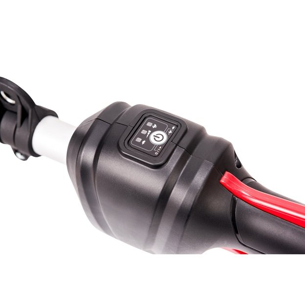 Akumuliatorinis trimeris 2in1 WORCRAFT 40V (20V+20V) LI-ION (Be akumuliatoriaus ir kroviklio)